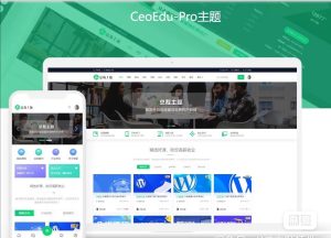 总裁主题ceoedu-pro4.4绕授权+开心版